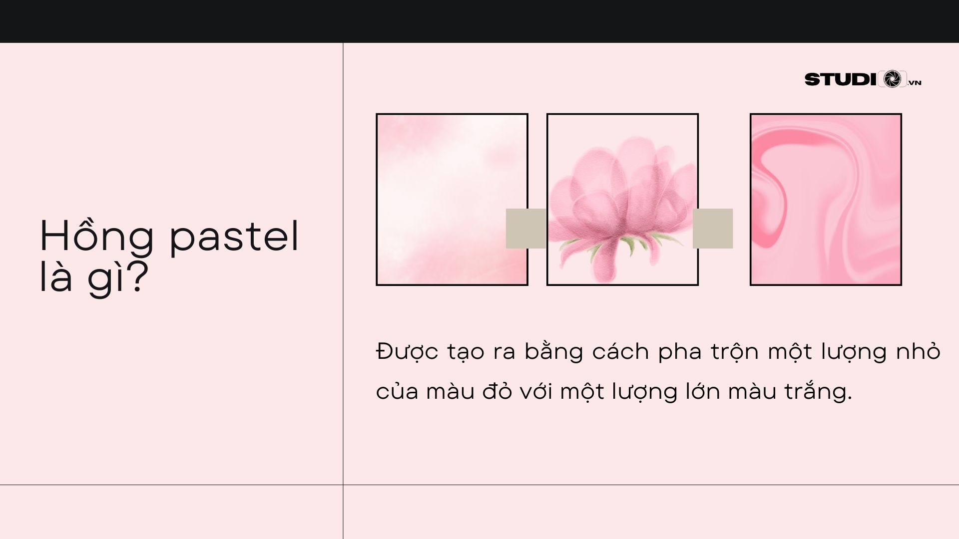Bảng màu hồng pastel