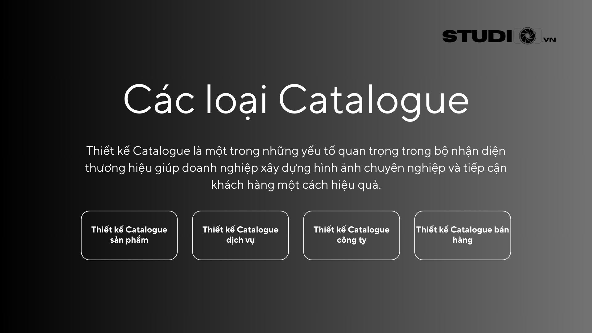 thiết kế Catalogue